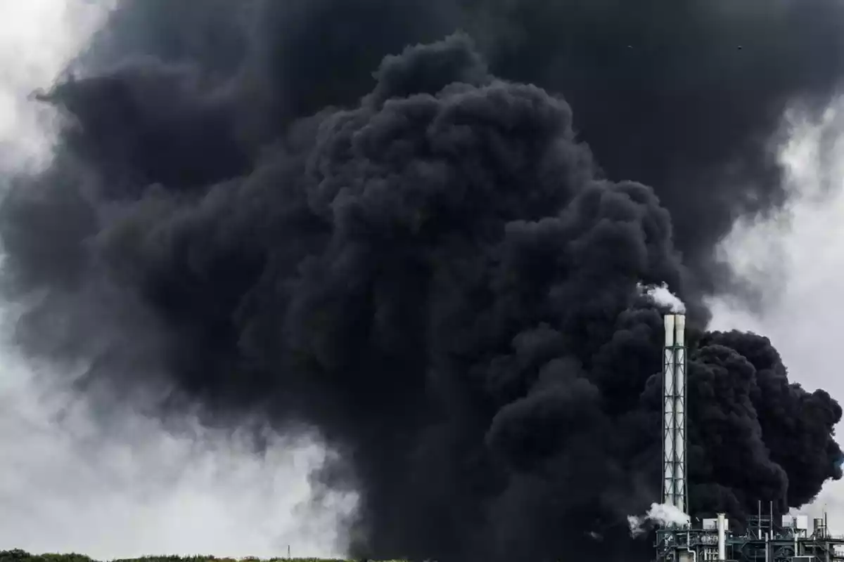 Imatge del fum negre de l'explosió a l'indústria Bayer de Leverkusen.