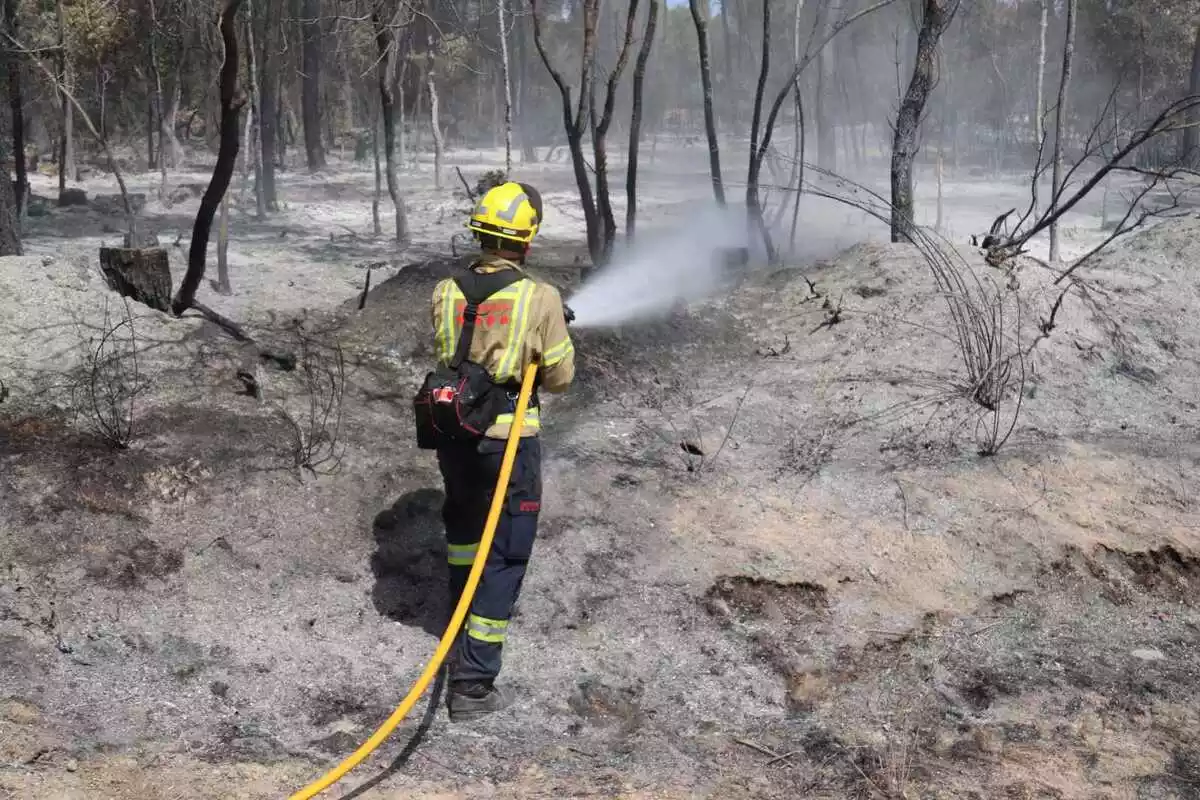 Pla mitjà d'un bomber remullant una de les zones cremades a l'incendi de Ventalló