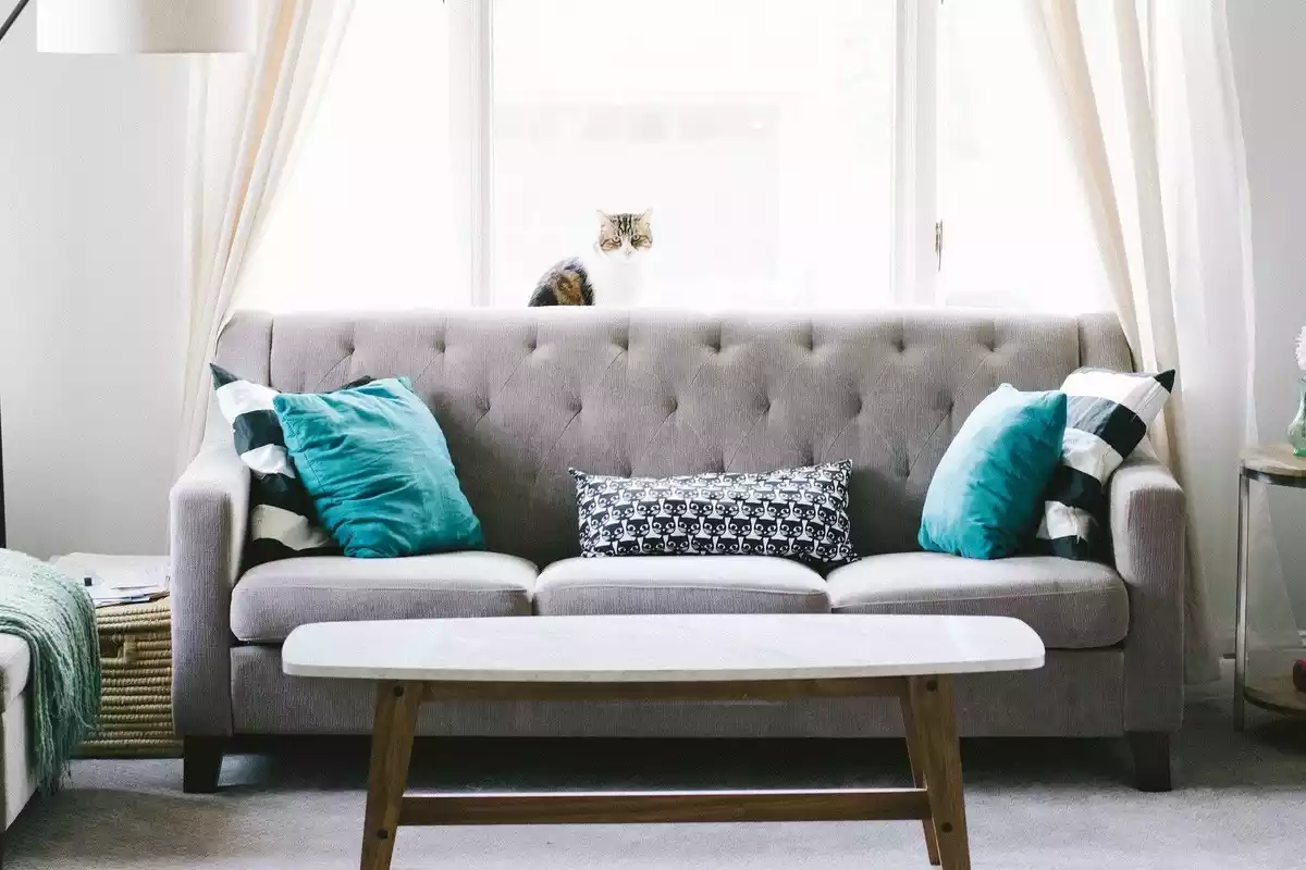Imatge d'un sofà en un menjador d'una casa sobre tons grisos