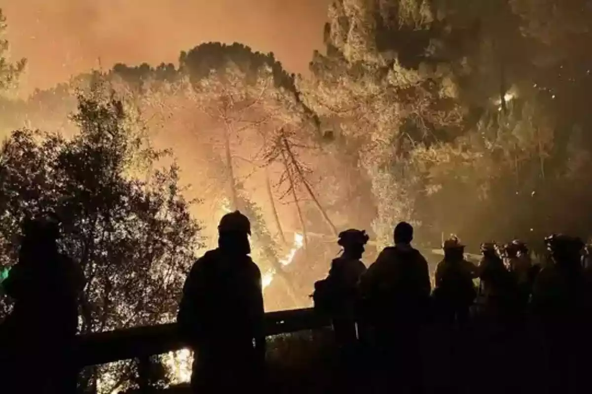Efectius de bombers treballant en un incendi forestal
