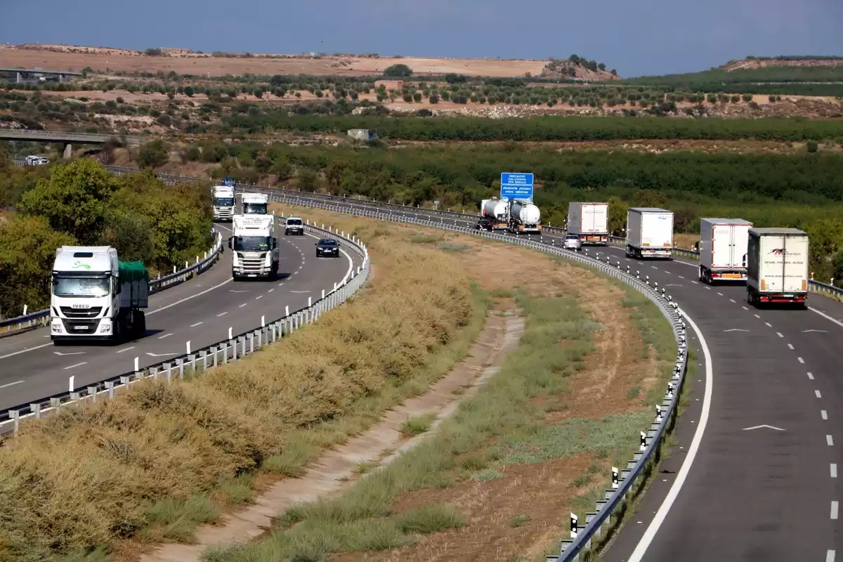 Imatge de diversos camions a una autopista.