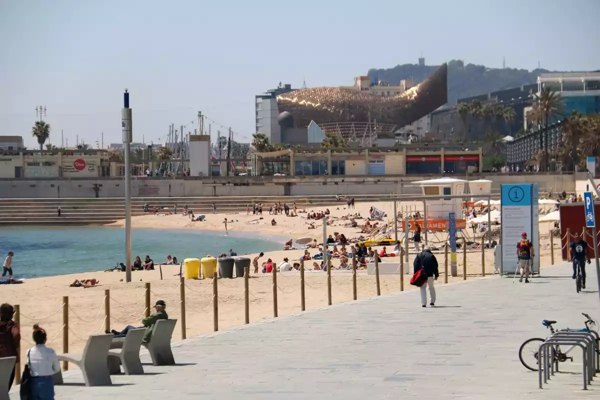 Pla general de la platja de la Nova Icària de Barcelona