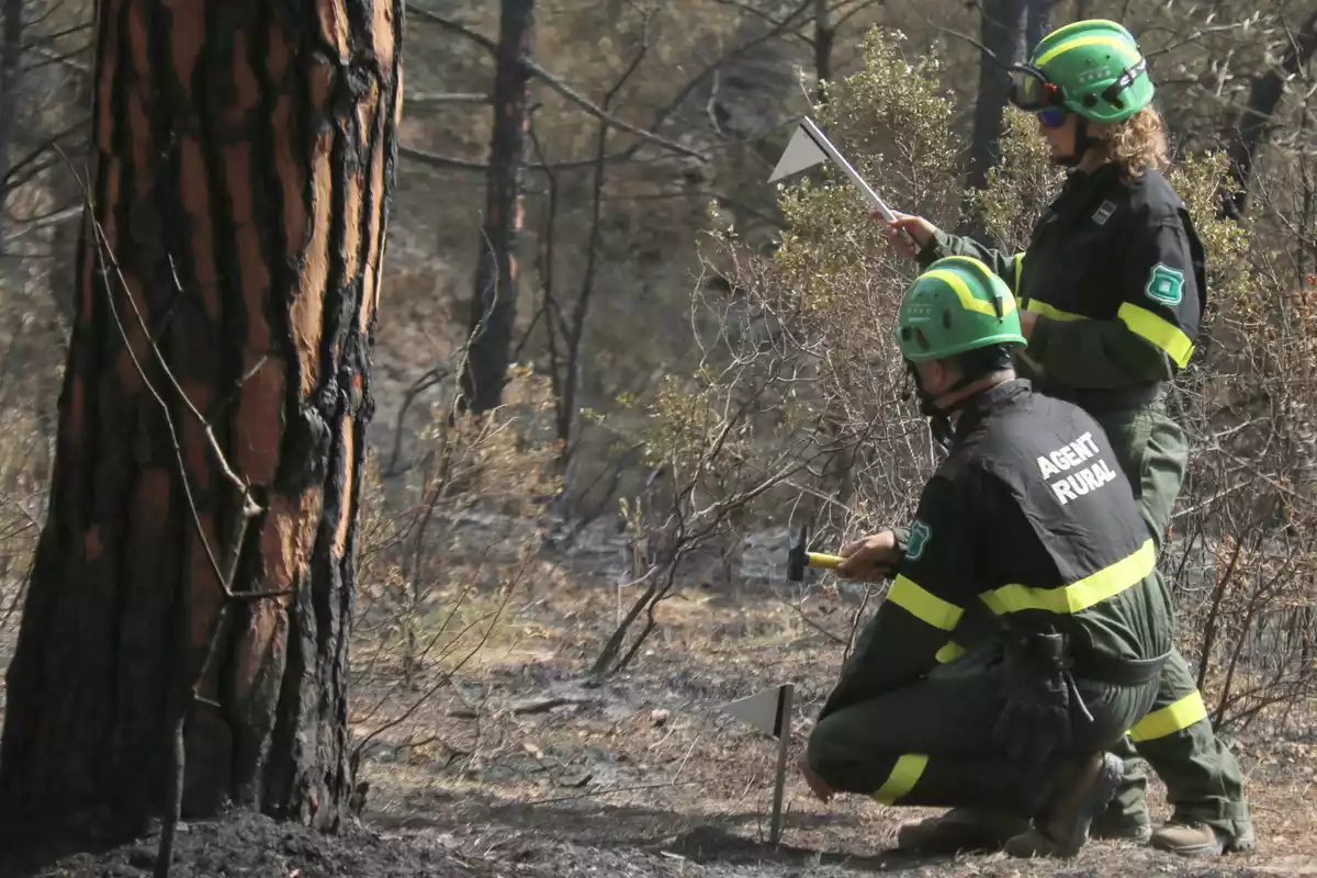 Dos agents rurals treballant en l'incendi del Montgrí