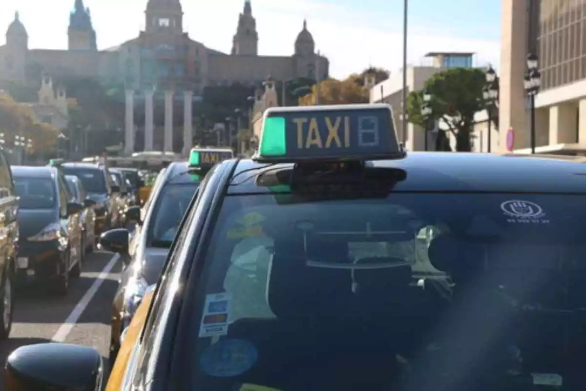Primer pla del cartell d'un taxi
