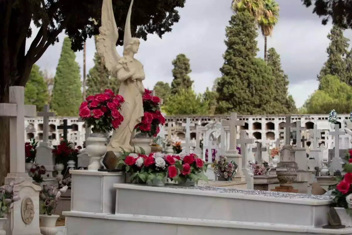 Cementiri de San Fernando per Tots Sants