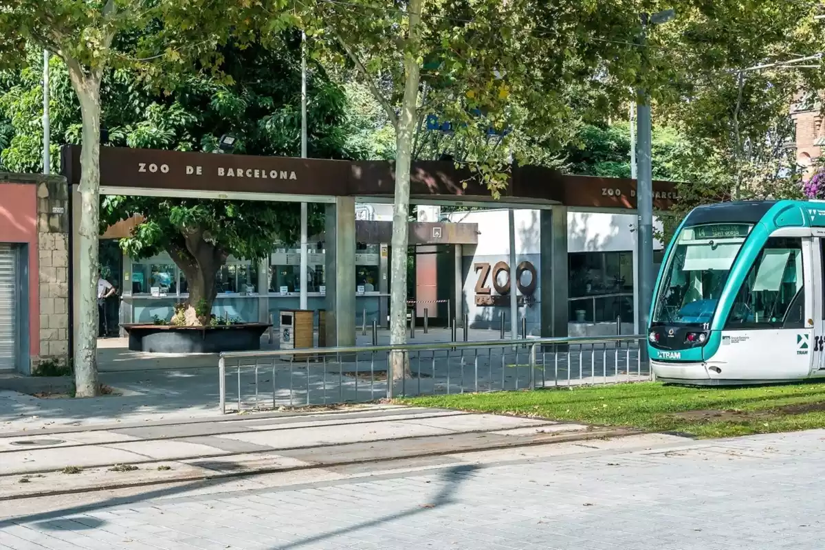 Imatge de l'entrada al Zoo de Barcelona, amb el tramvia a la dreta de la imatge
