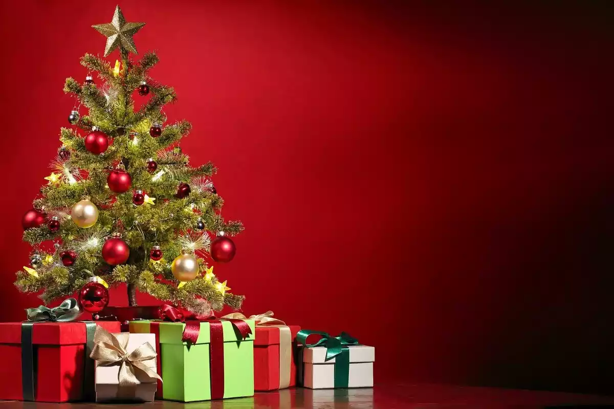 Un arbre de Nadal i tot de regals