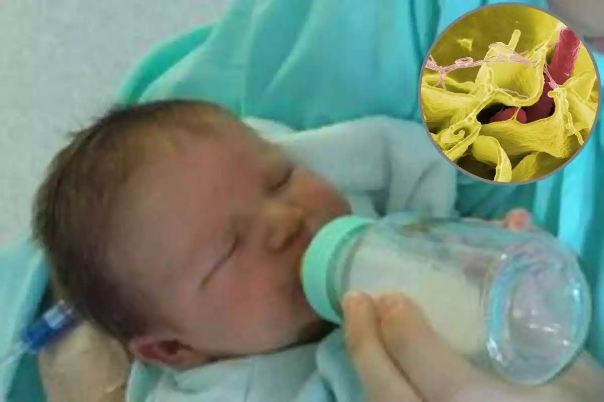Fotomuntatge d'un bebè i una representació en 3D de la salmonel·la