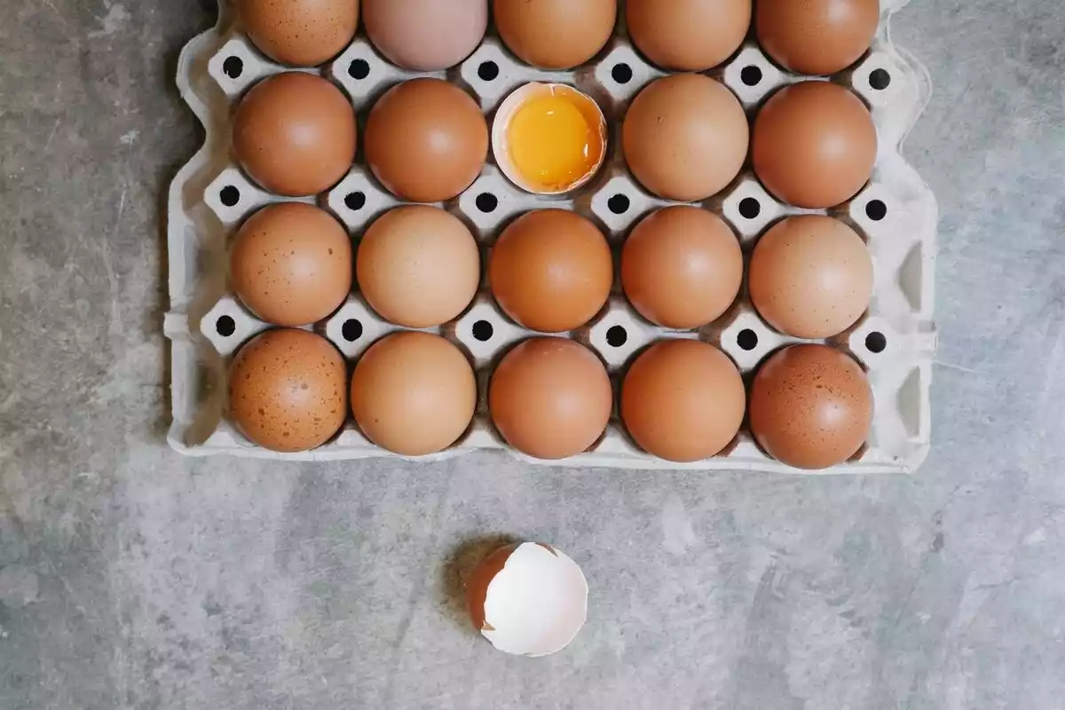 Imatge d'una ouera amb diversos ous i un obert al centre