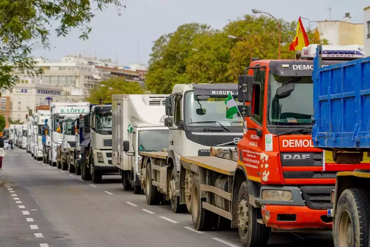 Imatge de diversos camions manifestant-se fent una filera per la vaga de transportistes