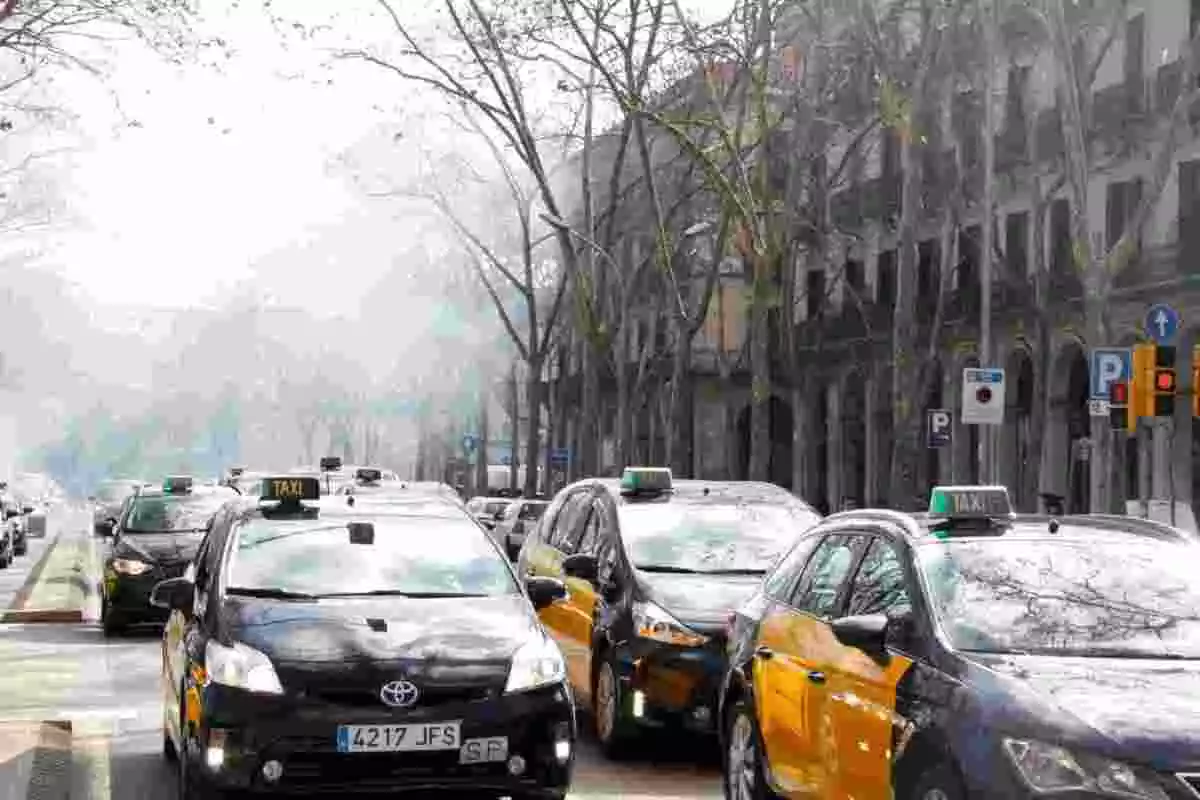 Taxistes a Barcelona