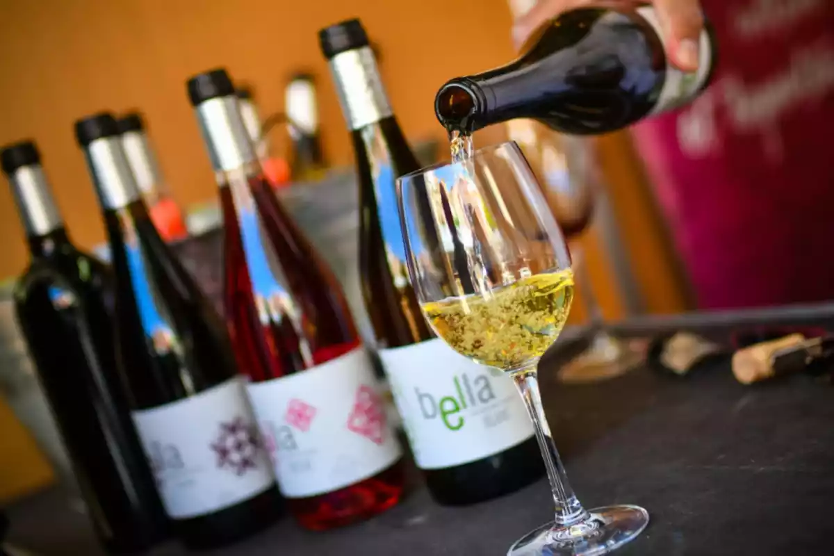 Imatge de diversos vins durant l'edició del Tastavin's del 2019