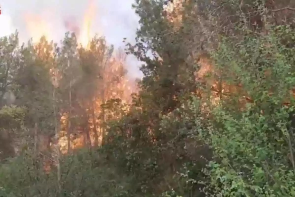 Imatge de l'incendi a les Garrigues.