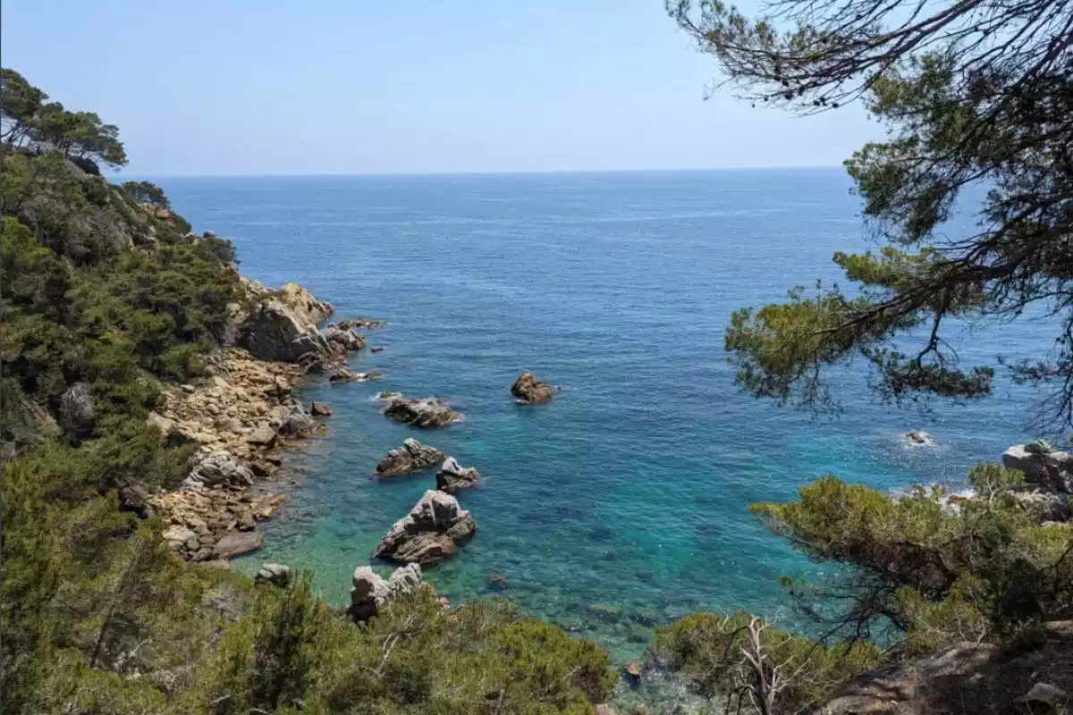 Platja de Lloret de Mar