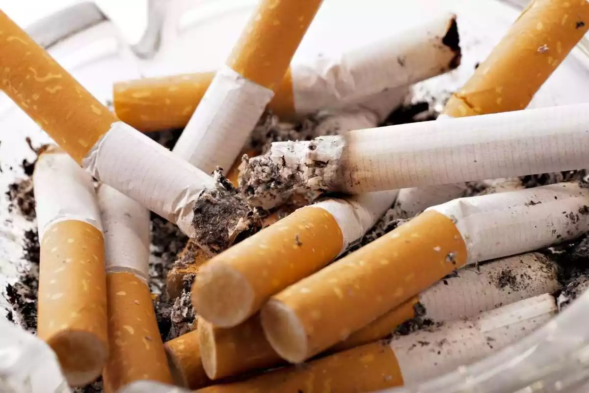 Imatge de diverses cigarretes en un cendrer.