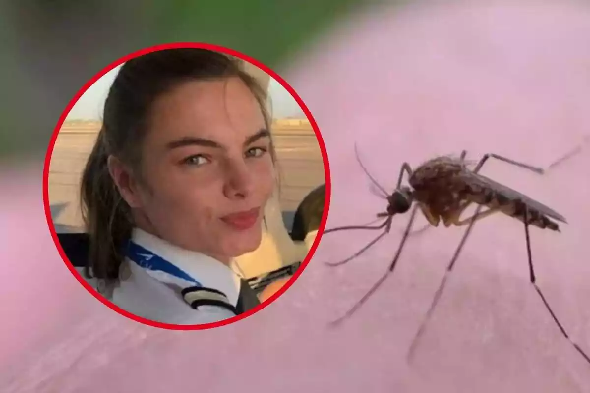 Muntatge fotogràfic d'un mosquit i Oriana Pepper, la pilot de 21 anys morta per la picada d'un mosquit