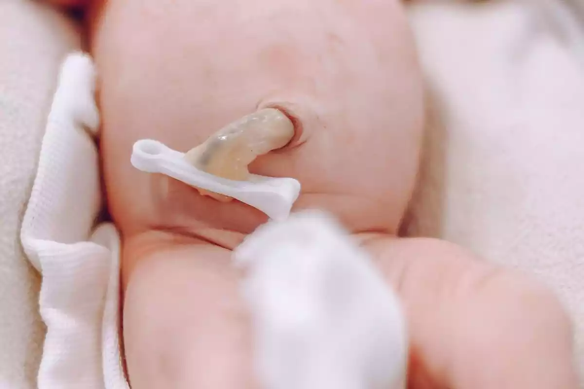 Primer pla d'un cordó umbilical d'un nadó