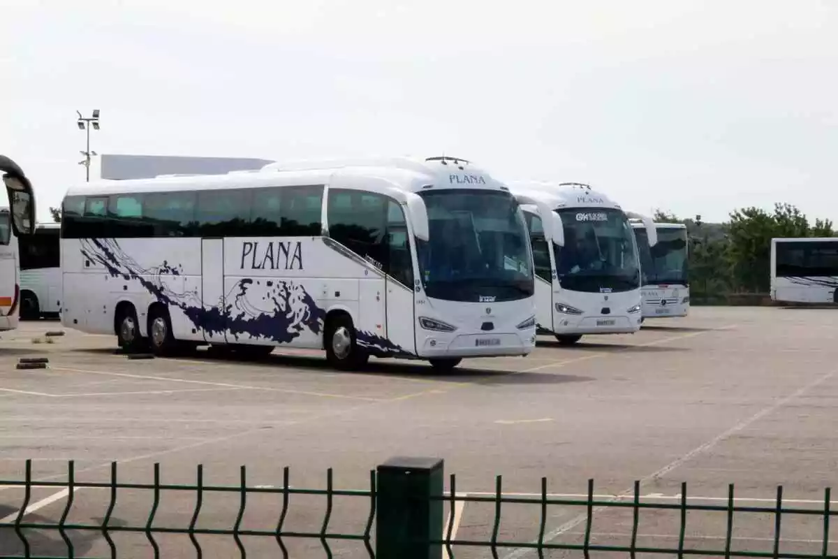 Imatge dels autobusos Plana.