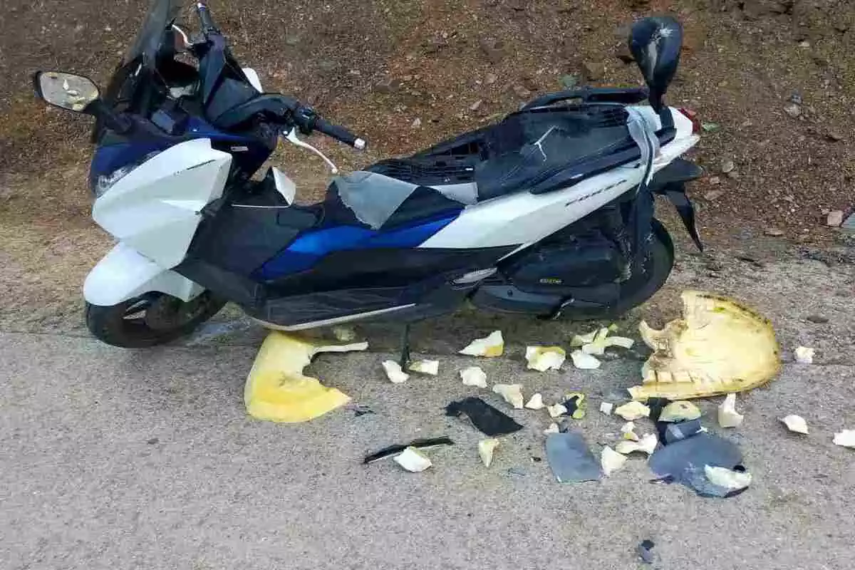 Un senglar destrossa una moto