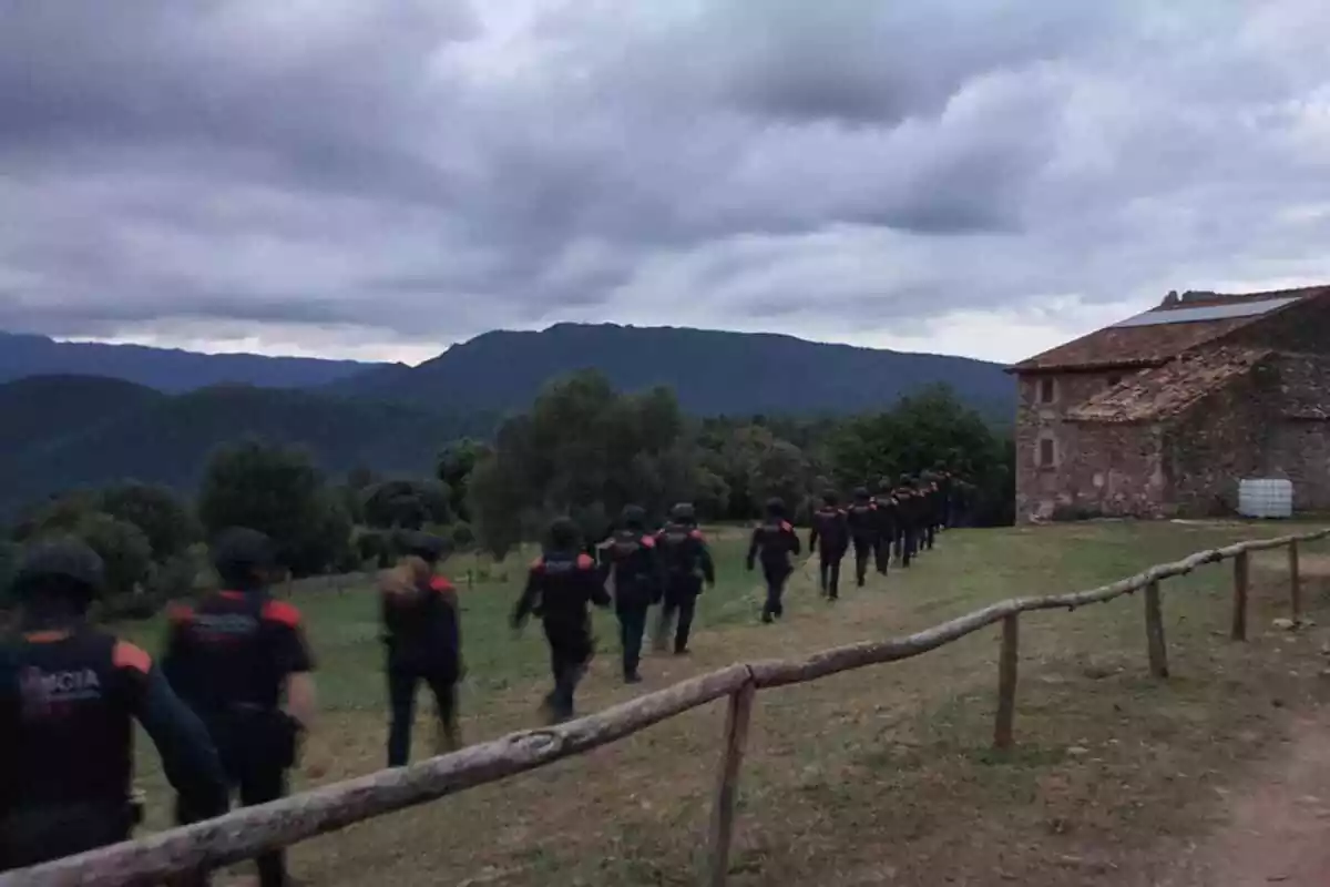 Els Mossos en un operatiu a la comarca de la Selva en contra del cultiu de marihuana.