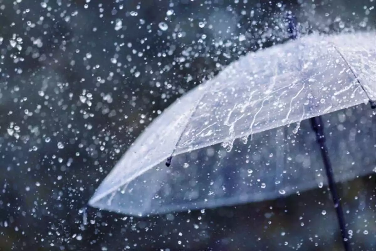 Foto d'un paraigües sota la pluja.