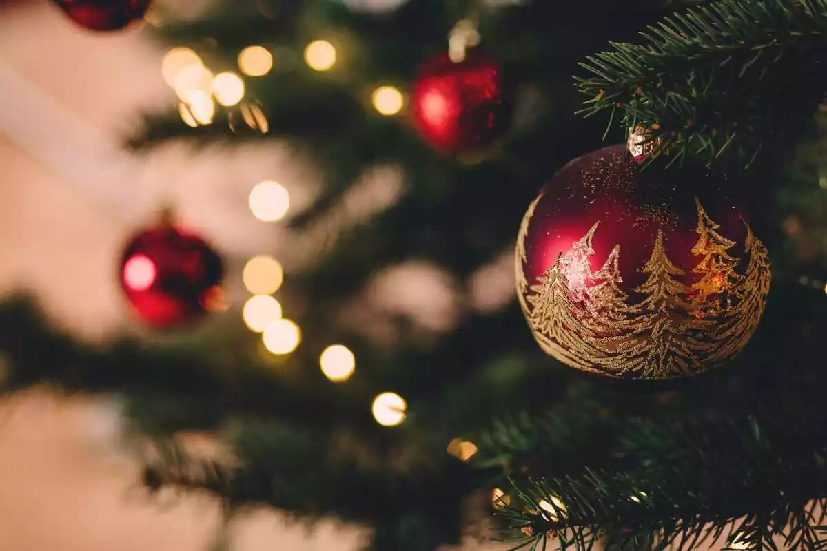 Primer pla d'una bola vermella i daurada penjada a l'arbre de Nadal.