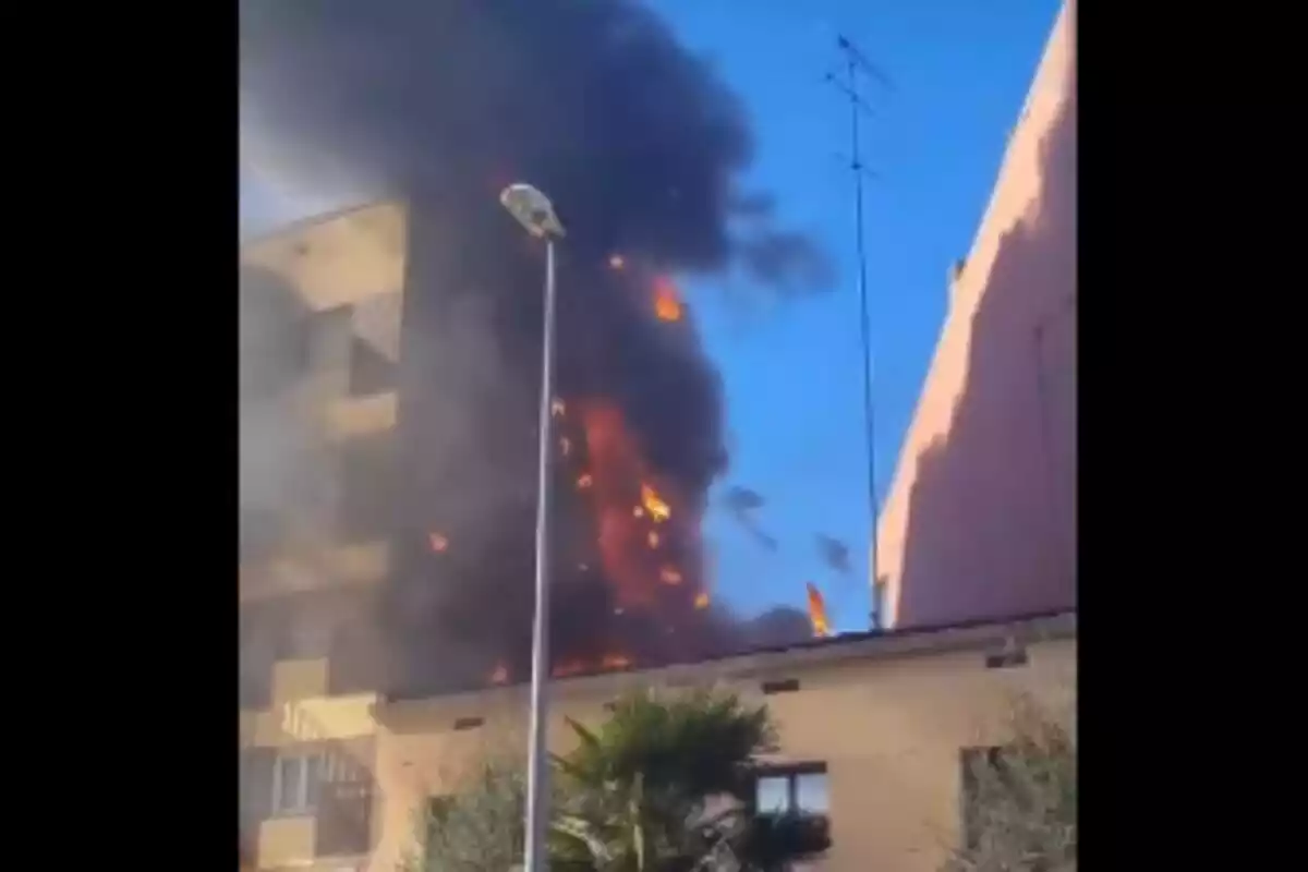 Imatge de l'incendi que s'ha produït avui a Mollerussa.