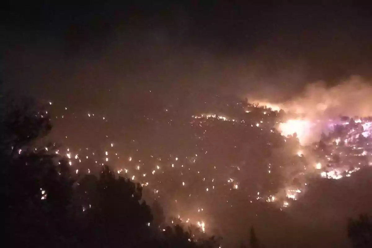 Incendi forestal a Tortosa, al Baix Ebre
