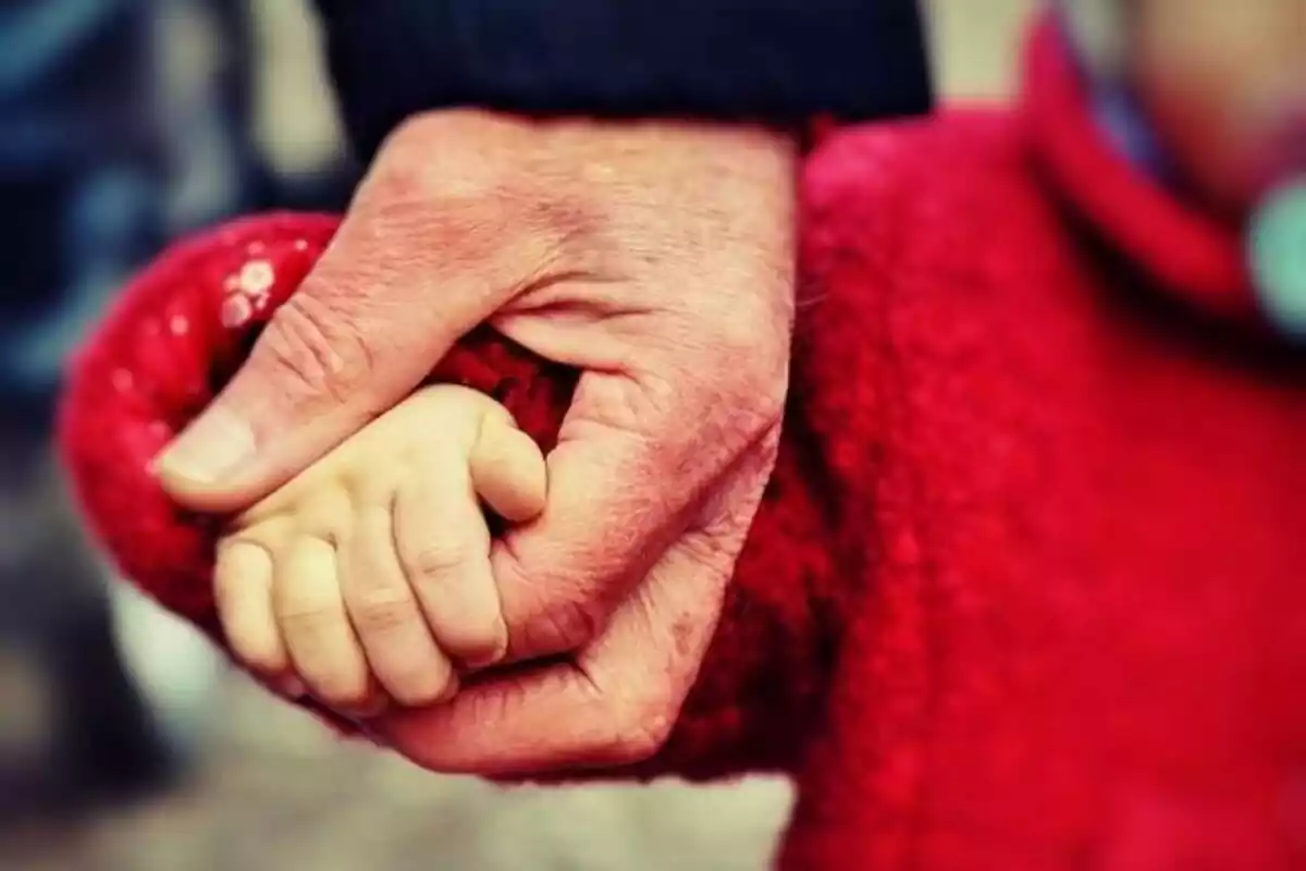Primer pla de les mans d'un avi i la seva neta