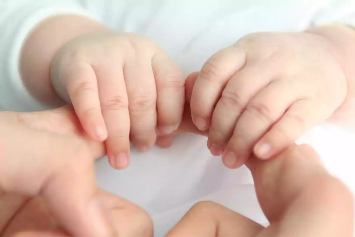 Foto de les mans d'un bebè agafant els dits d'un adult.