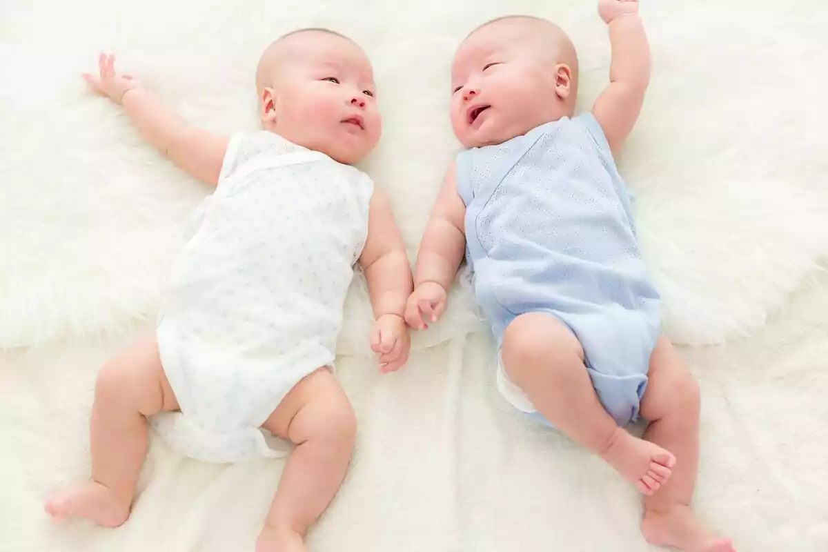 Imatge de dos bebés bessons