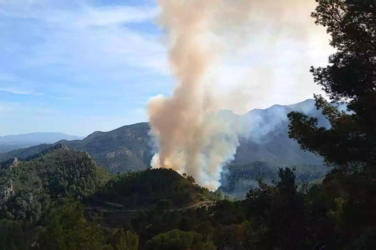 Imatge de l'incendi entre Xerta i Paüls.