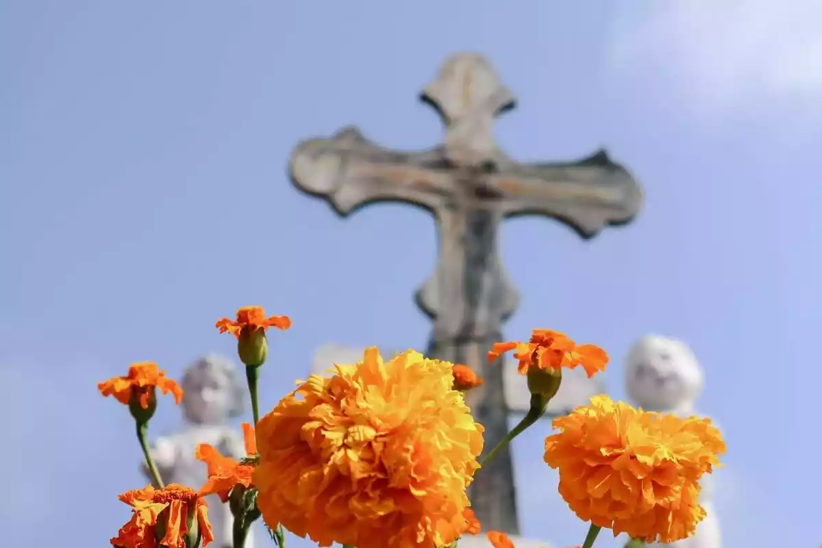 Creu de la tomba d'un cementiri amb flors taronja