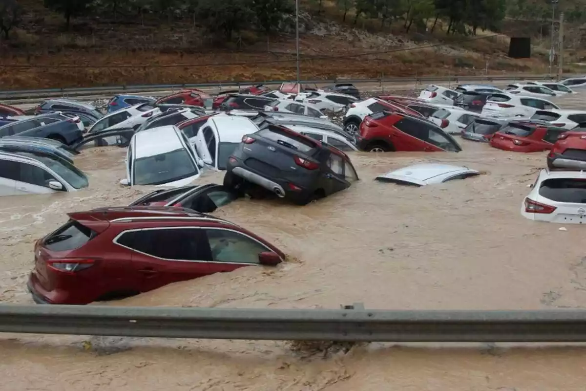 Muchos coches inundados en una carretera