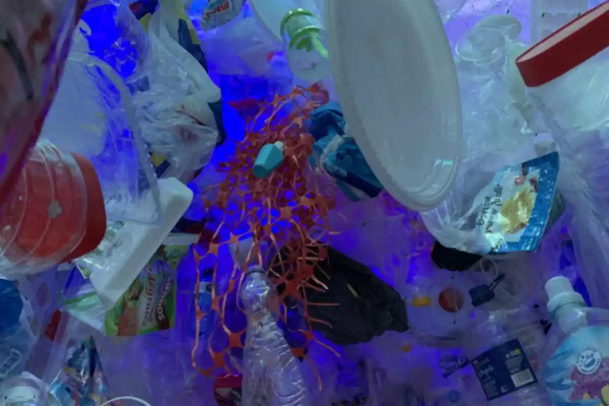 Muntatge fet d'envasos de plàstic que es pot veure a l'interior de l'exposició