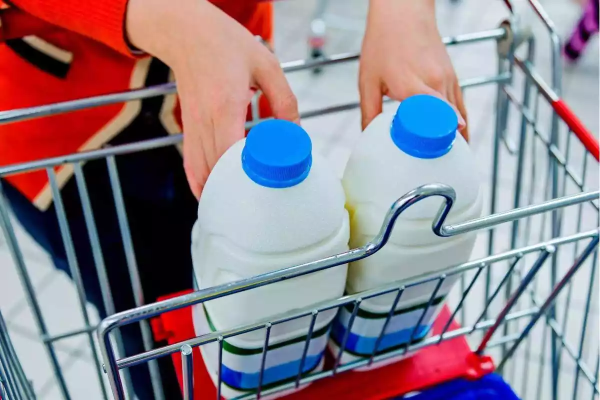 Imatge d'una persona posant dos envasos de llet al seu carro
