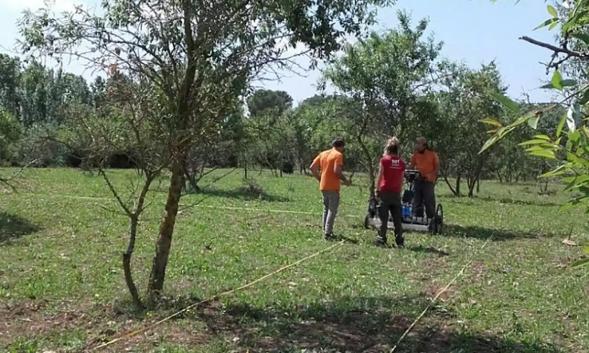 Tècnics fent les prospeccions amb georadar als terrenys on hi el jaciment iber de Banyeres.