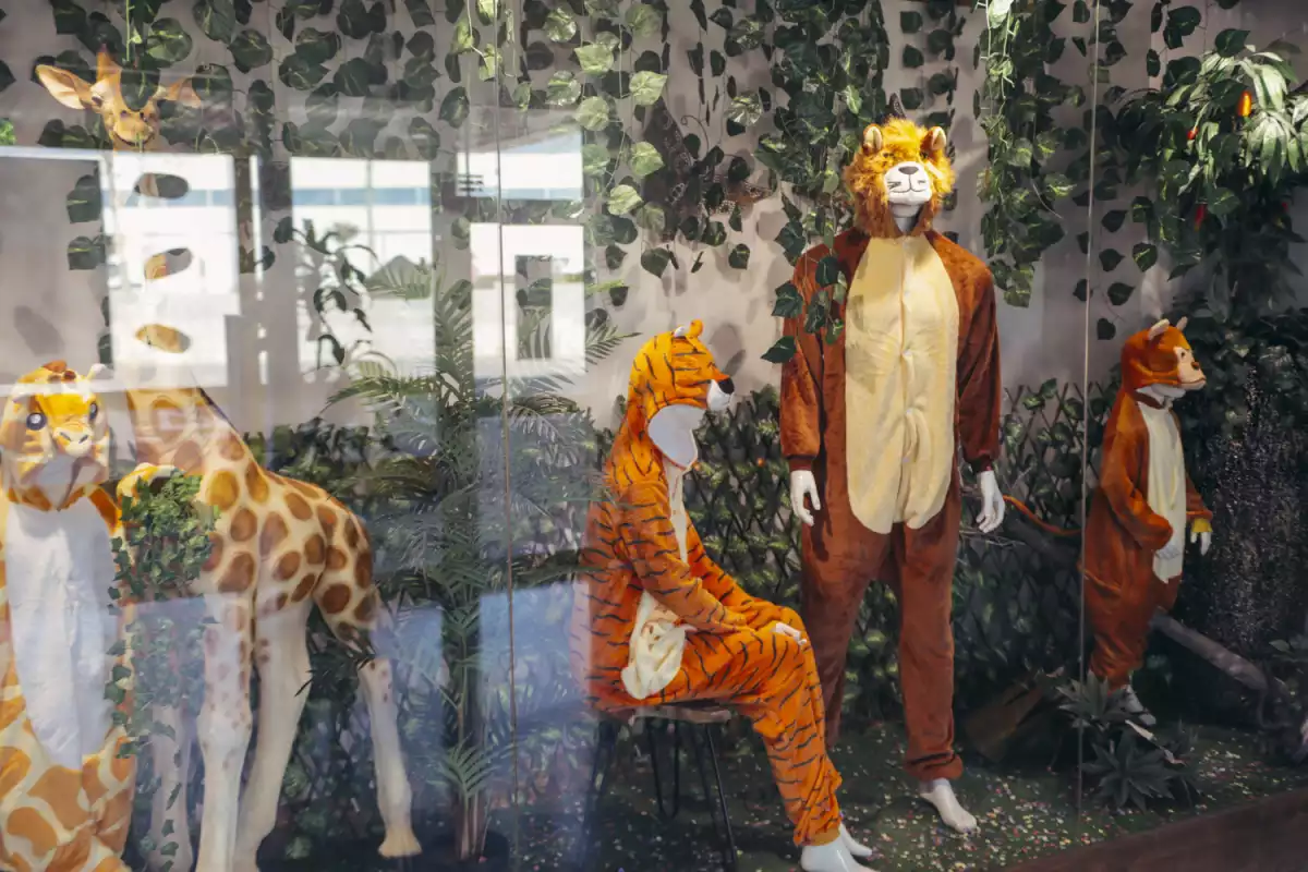 Disfresses d'animals exposades a l'aparador de merca Eurasia pel Carnaval 2019