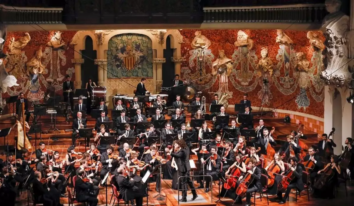 L'Orquestra Simfònica Camera Musicae.