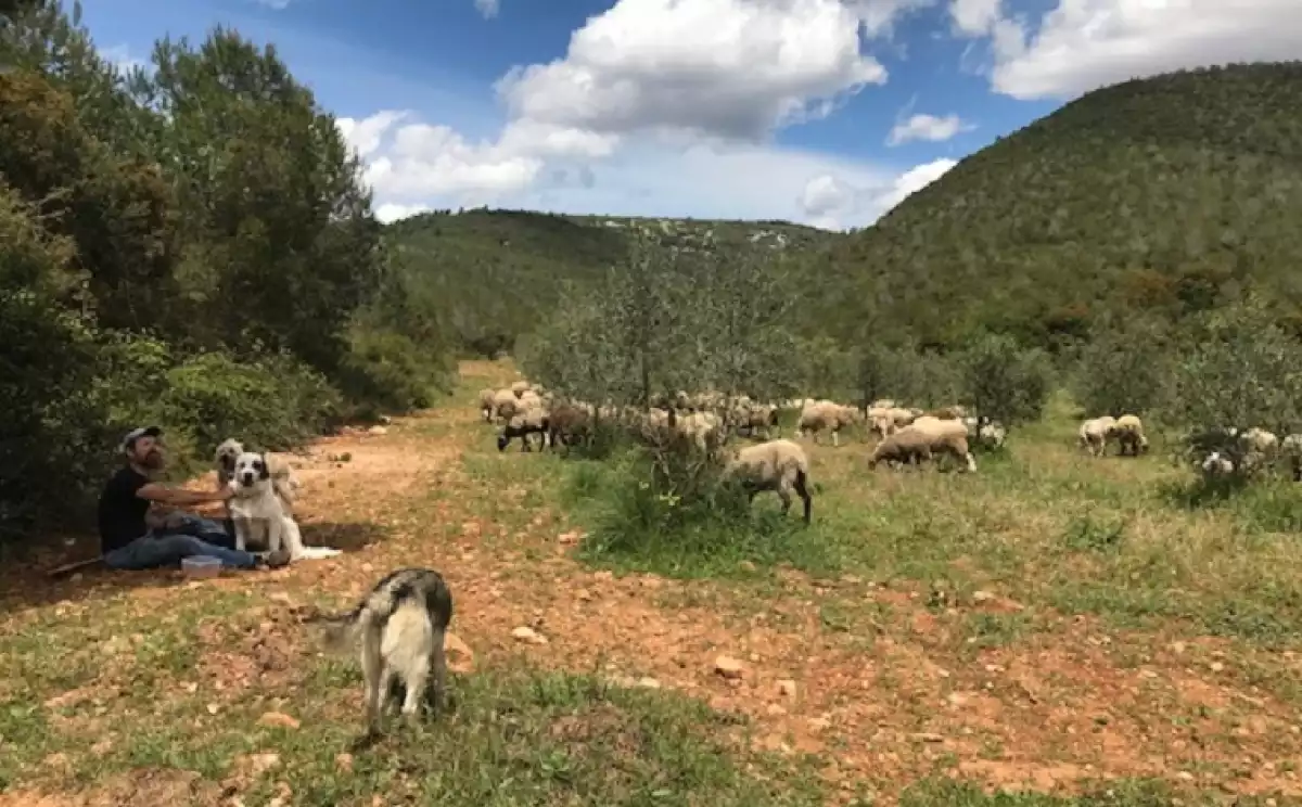 Cunit vol potenciar el seu patrimoni de camins ramaders.