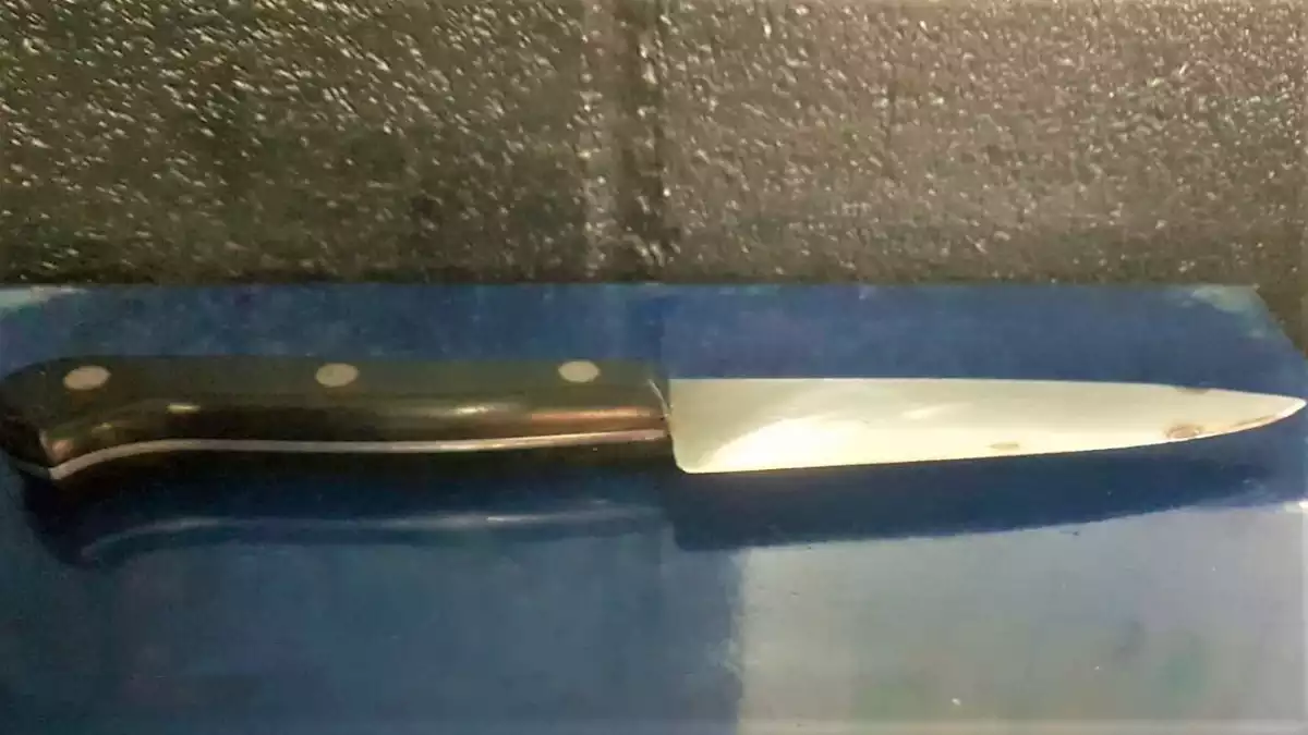 Imatge del ganivet que un dels lladres duia amagat i que els Mossos van comissar