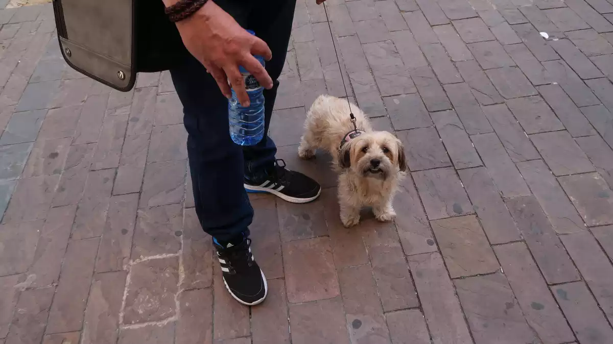 L'Eduard i el seu gos passejant amb una ampolla d'aigua per remullar l'orina
