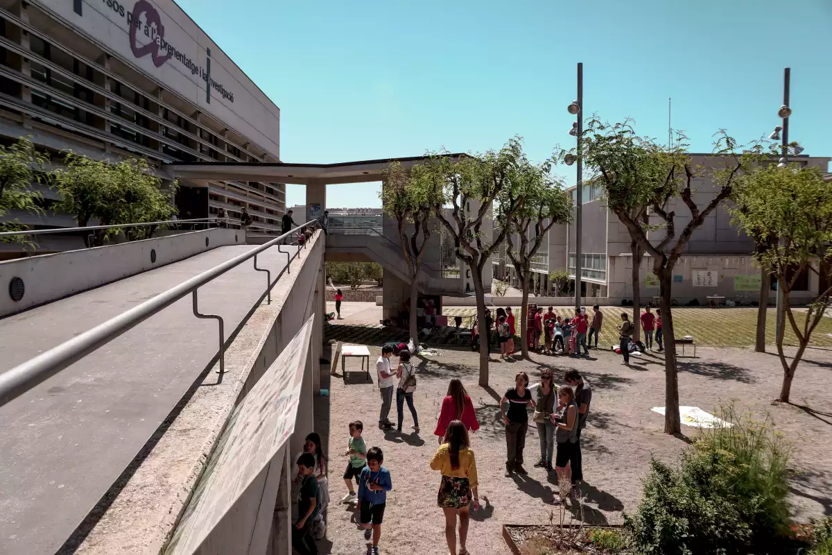 El Jardí de les Papallones s'ubica al bell mig del Campus Sescelades de la URV.