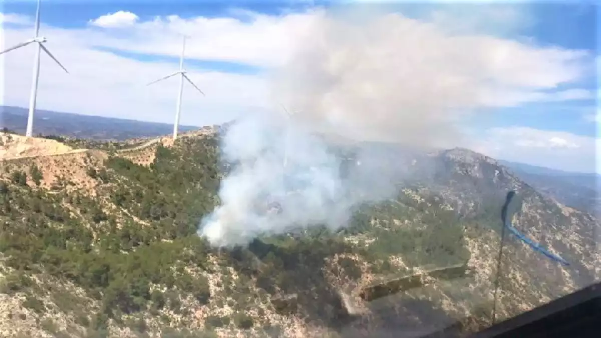 Els Bombers treballen per extingir un incendi forestal a Móra d'Ebre