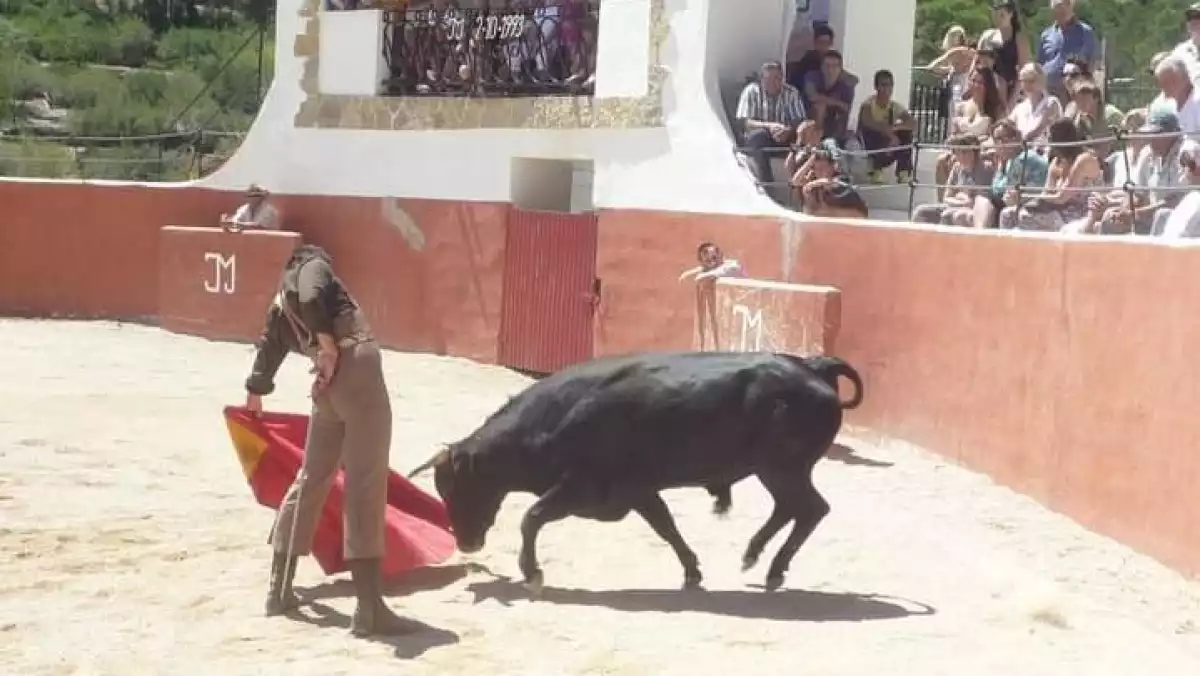 L'actuació d'un torero durant un dels espectacles taurins que se celebrarien il·legalment a Alfara