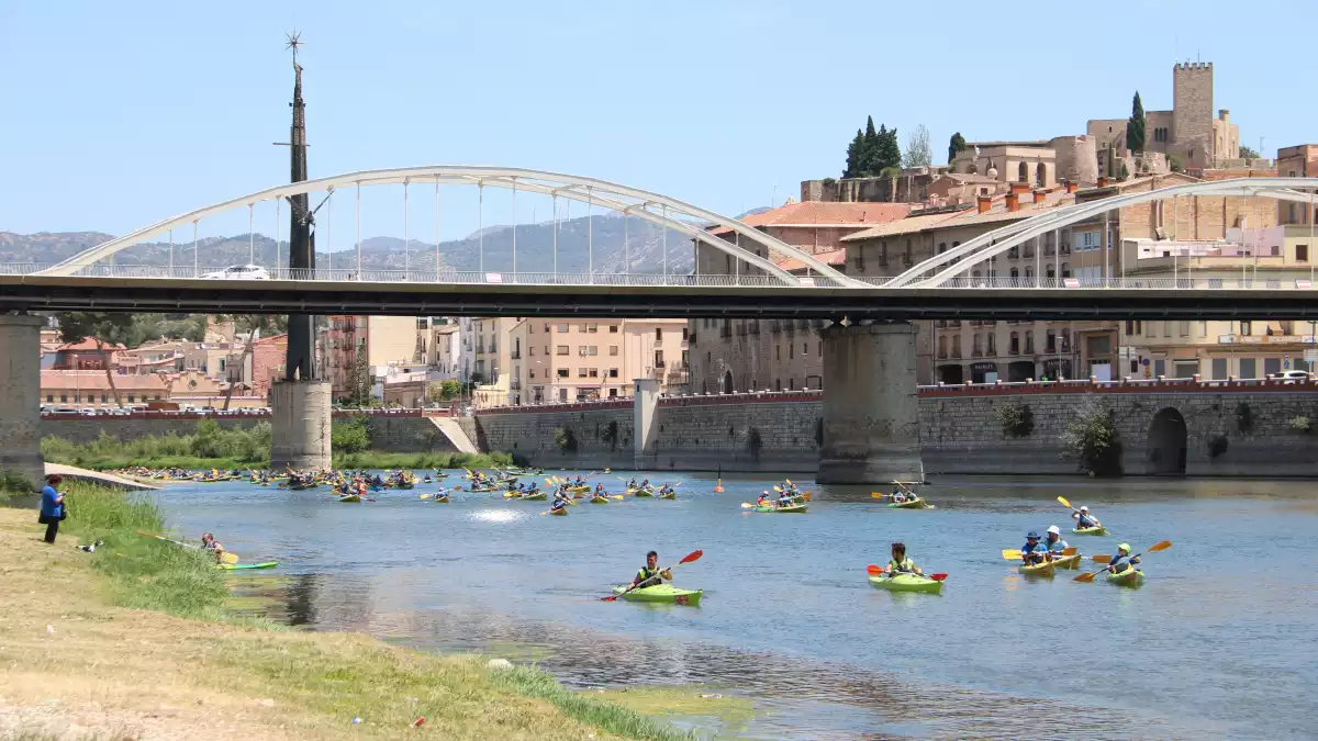 L'arribada amb canoes a Tortosa de la  19a Piraguada popular de la PDE