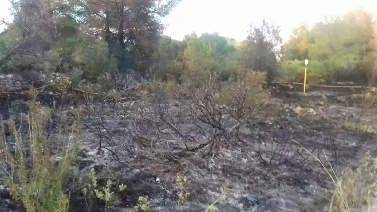 L'incendi ha cremat una superfície d'uns 1.800 metres quadrats