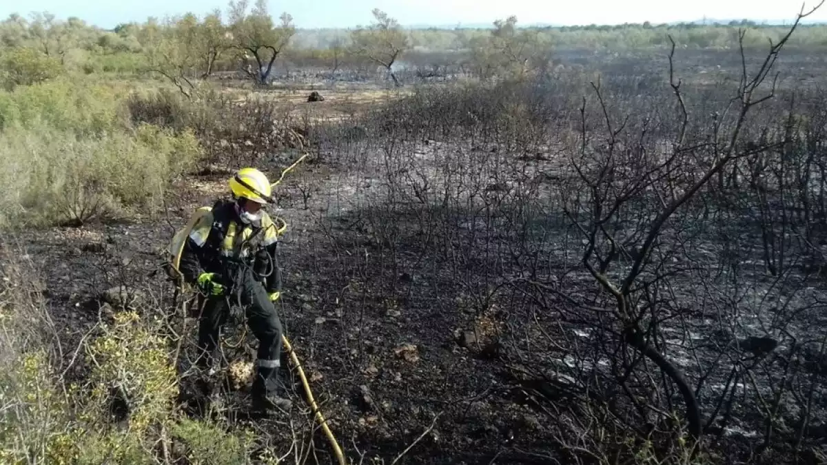 Imatge dels Bombers treballant en l'extinció de l'incendi a la Sénia