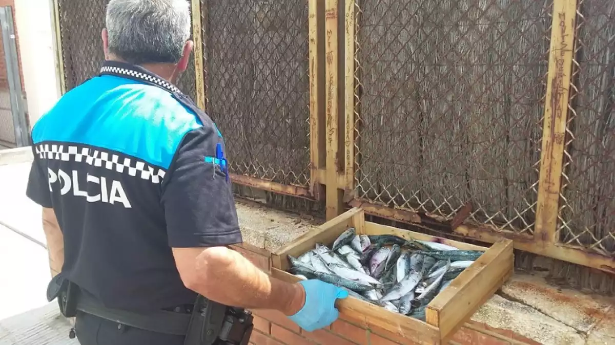 La policia de Cunit, amb el peix decomissat.