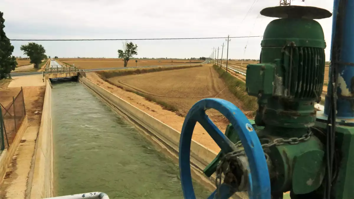 L'aigua corre per una de les sèquies de reg de l'hemidelta esquerre de l'Ebre